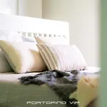 Casa Arcobaleno By Portofinovip 公寓 拉帕洛